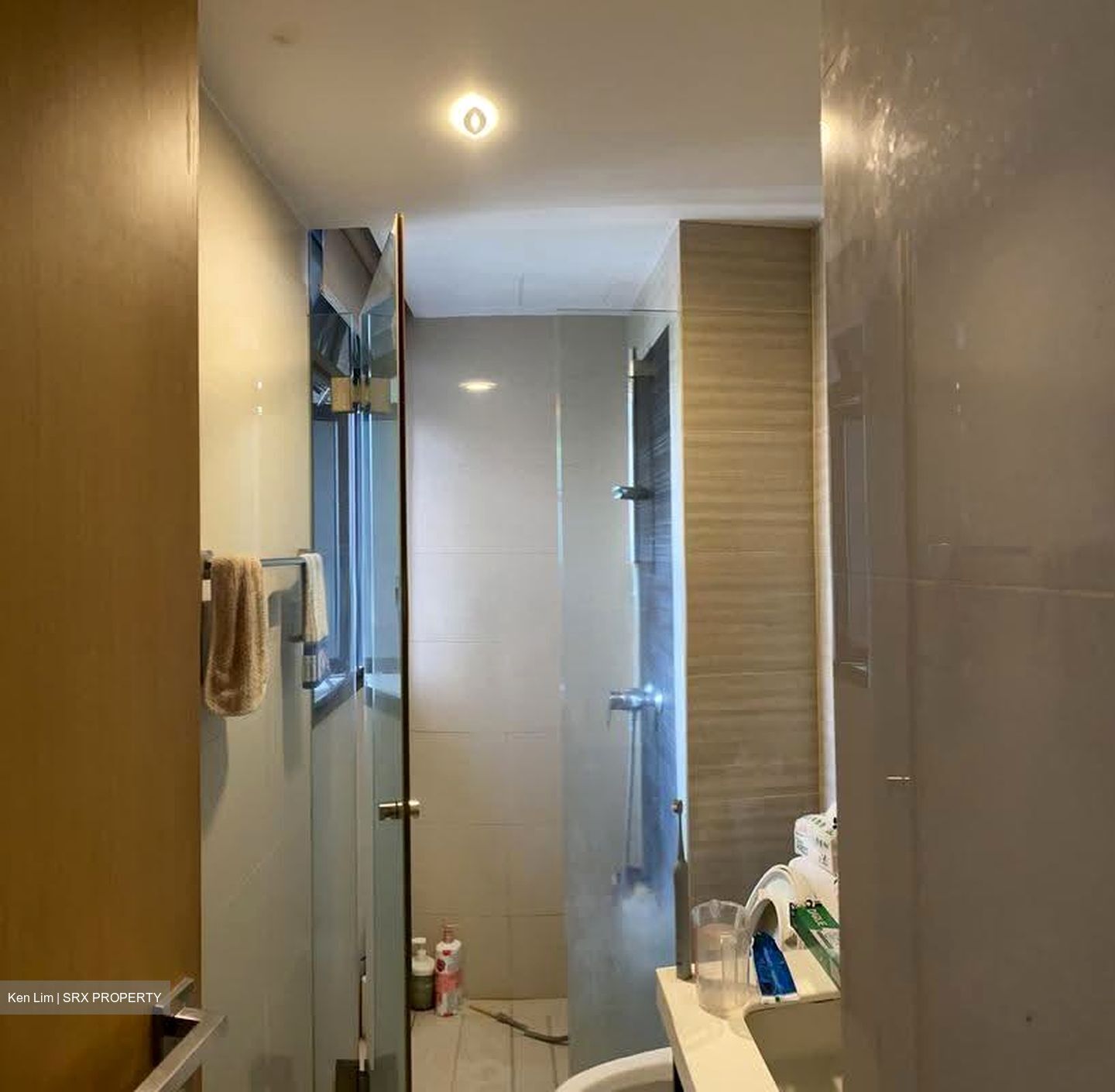 Blossom Residences (D23), Condominium #625954291